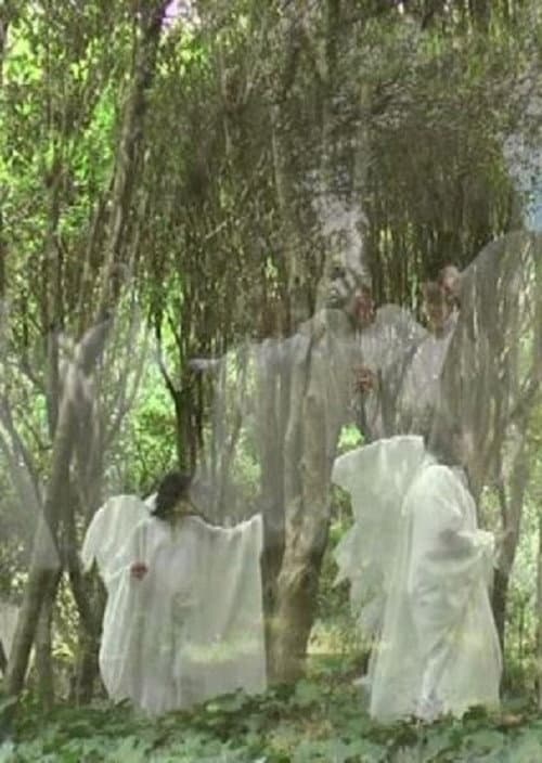 Il fascino dell'impossibile