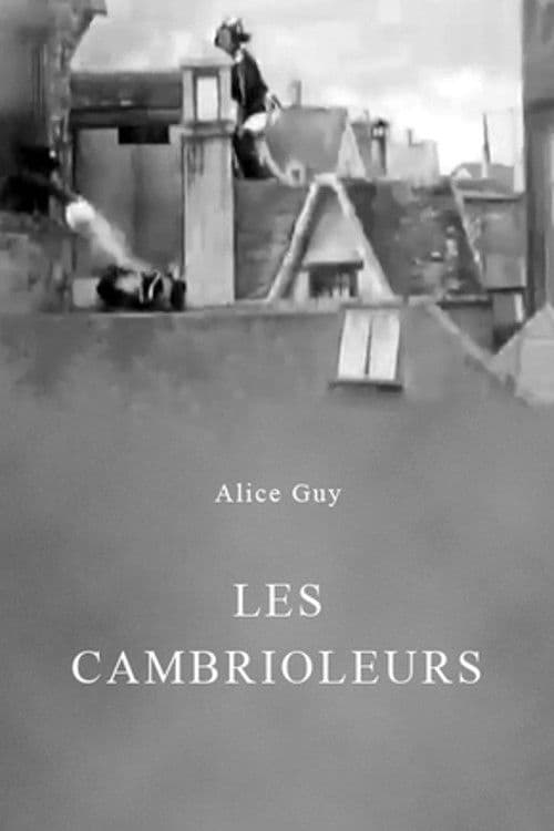 Les Cambrioleurs