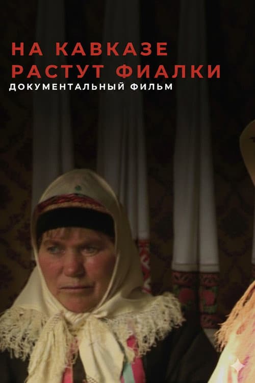 На Кавказе растут фиалки