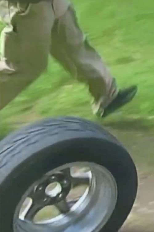 THE CAR BECOMES TREES