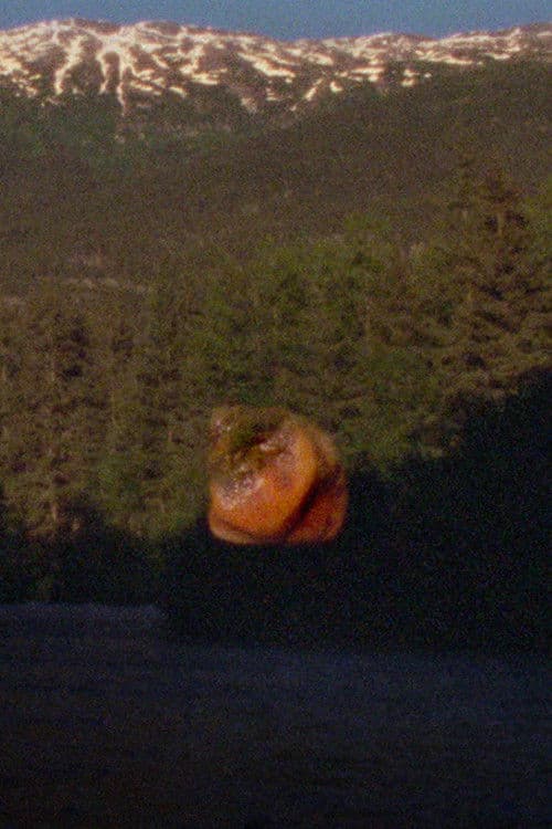 See Through the Hollowed Blue Hellebore