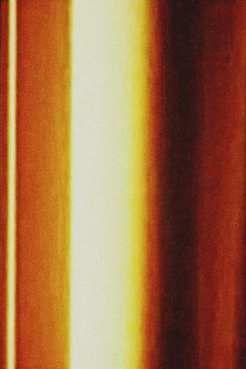 사운드의 형이상학적 채집