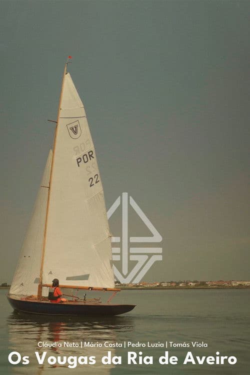 Os Vougas da Ria de Aveiro