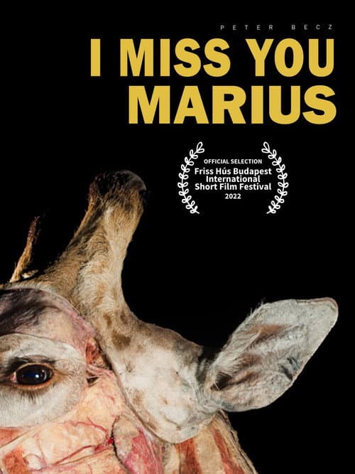 I Miss You, Marius