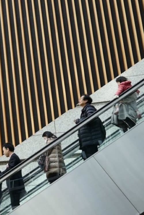 Una società di servizi