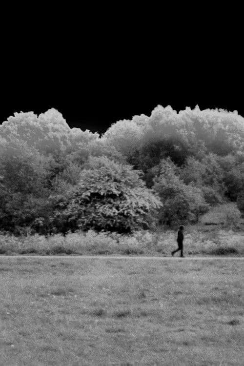 The Grey Between (A Lockdown Time Capsule)