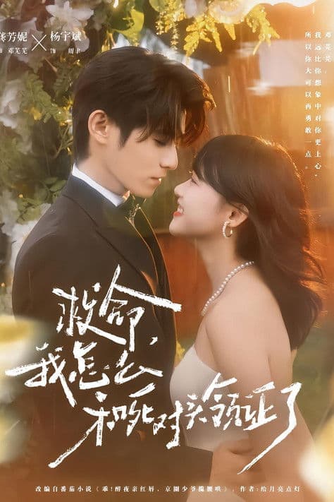 救命，我怎么和死对头领证啦