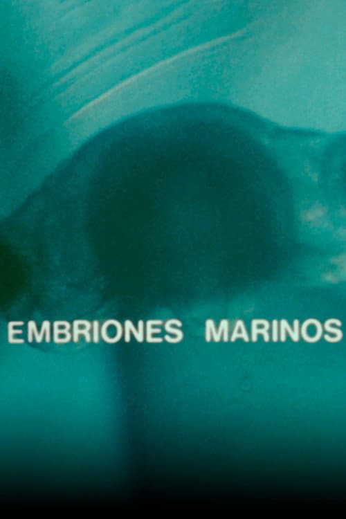 Embriones Marinos