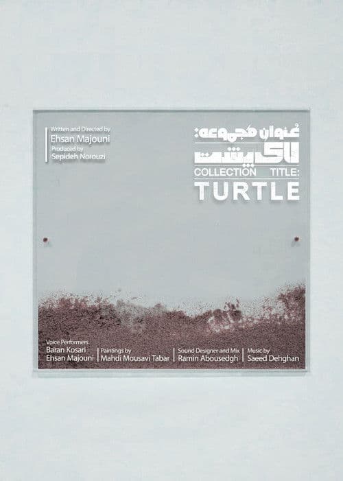 Collection Title: Turtle