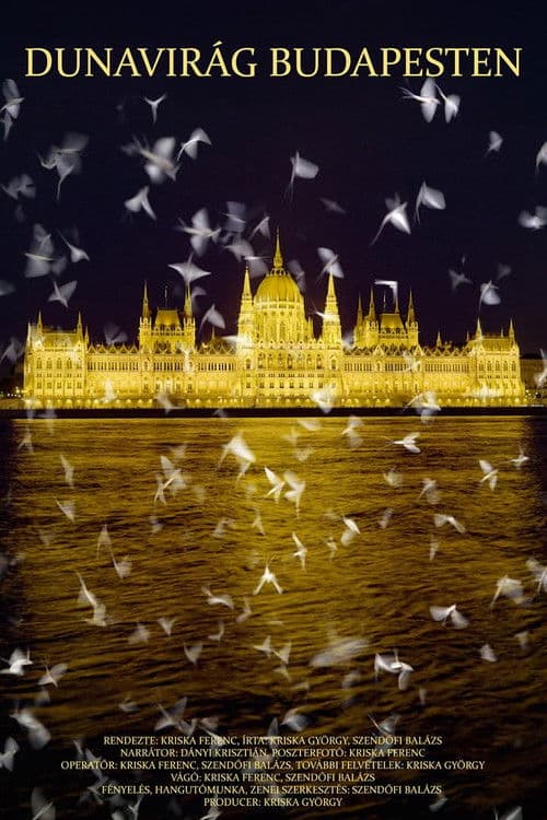 Dunavirág Budapesten