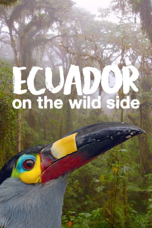Ecuador: On the Wild Side