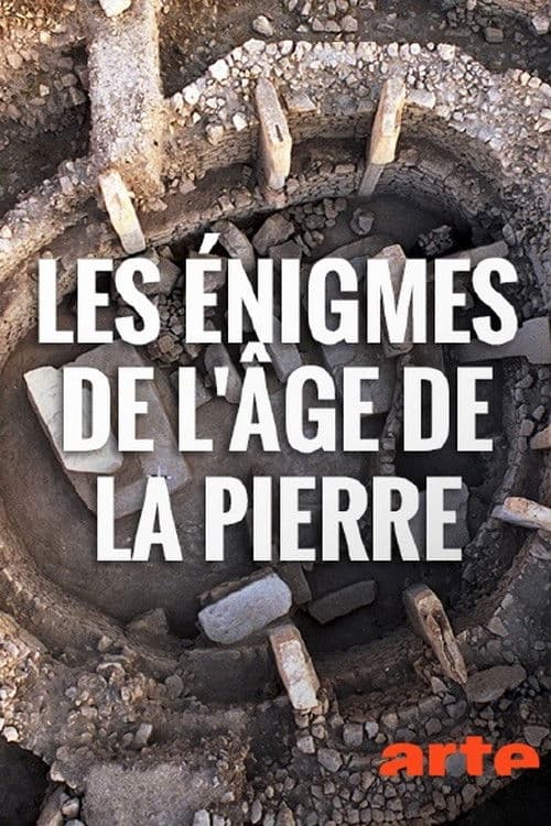 Rätsel der Steinzeit