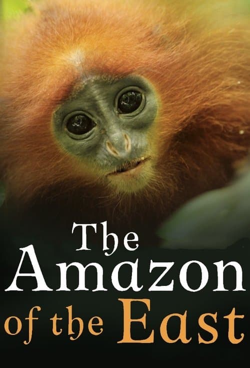 Kinabatangan: Der Amazonas des Ostens