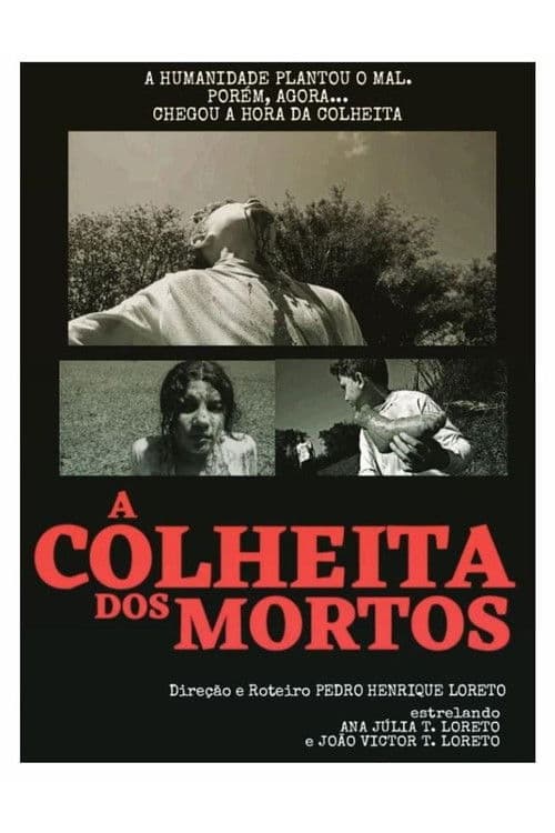 A Colheita dos Mortos