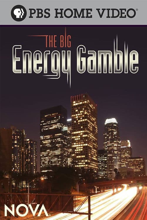 The Big Energy Gamble