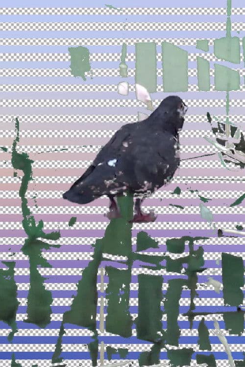 日 '''''''；''''''' 記