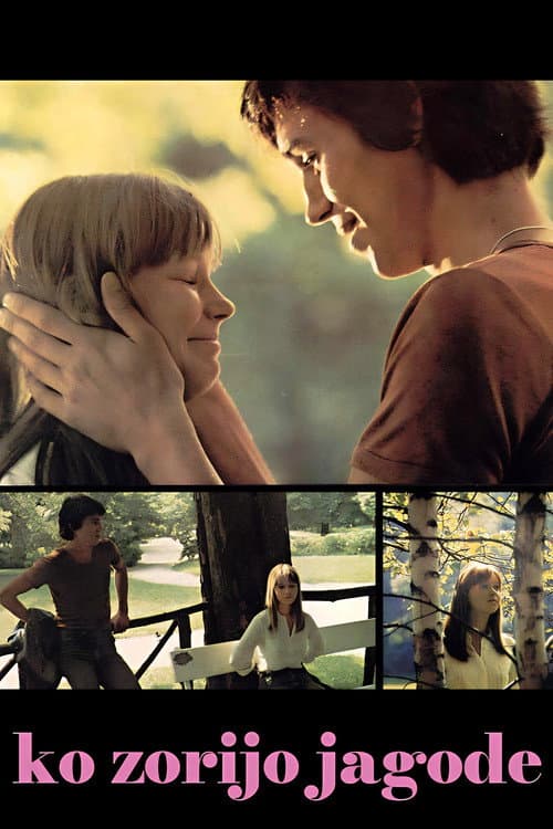 Ko zorijo jagode