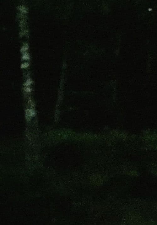 light rain, empty mind