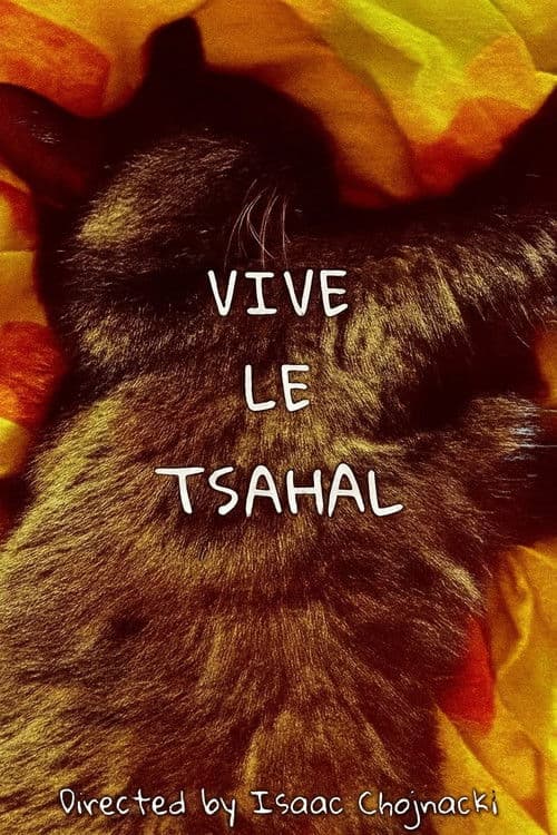 sleeping cat in november