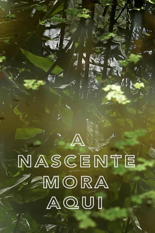 A Nascente Mora Aqui