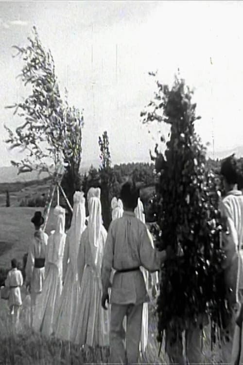 Pomlad v Beli krajini