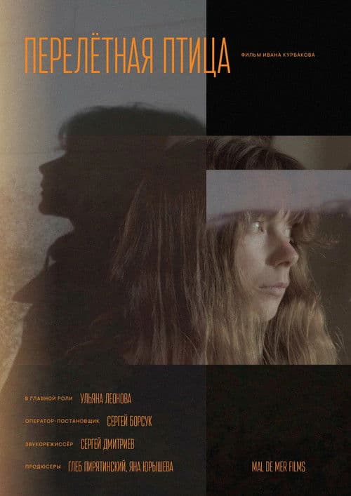 Перелётная птица