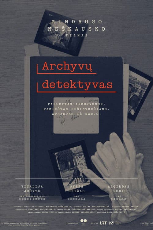 Archyvų detektyvas