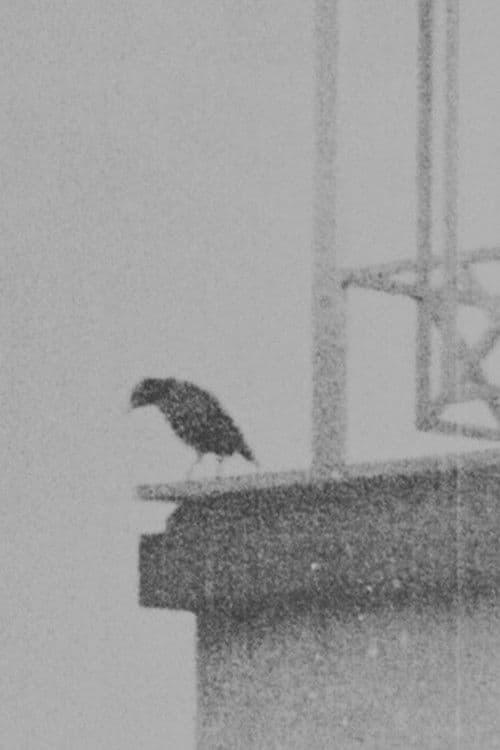 Ghazal no 884 By Bidel