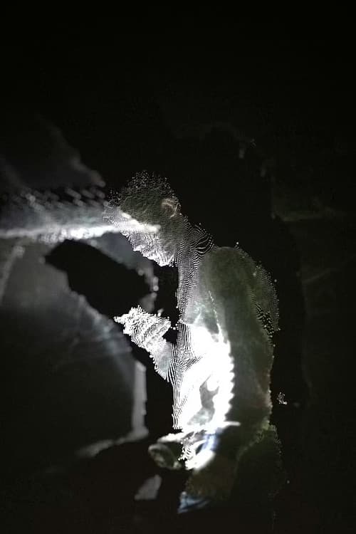 I Don't Think I'm Alone in This