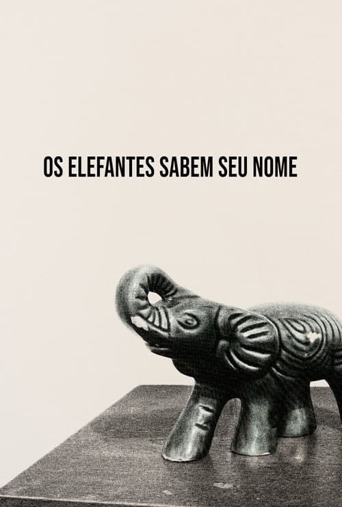 Os Elefantes Sabem Seu Nome