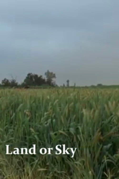 Land or Sky
