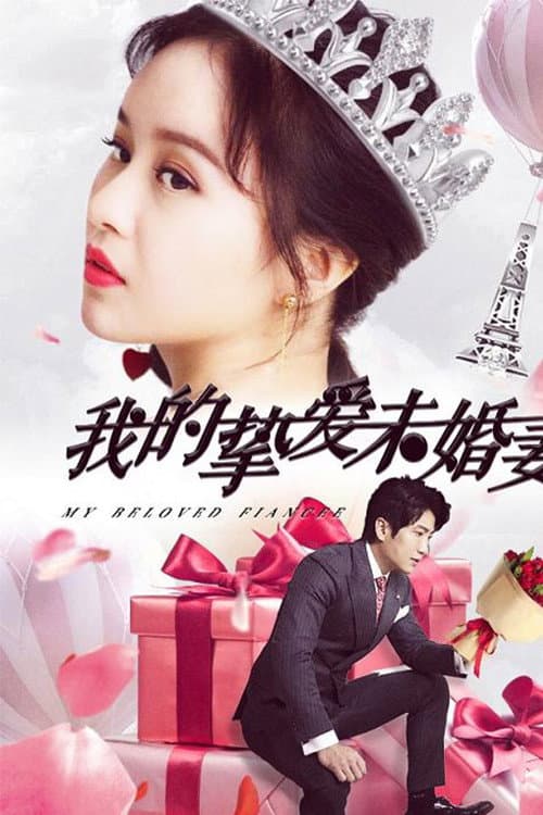 我的挚爱未婚妻