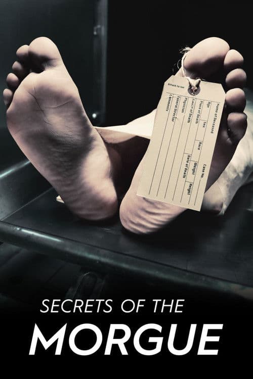 Secretele de la morgă