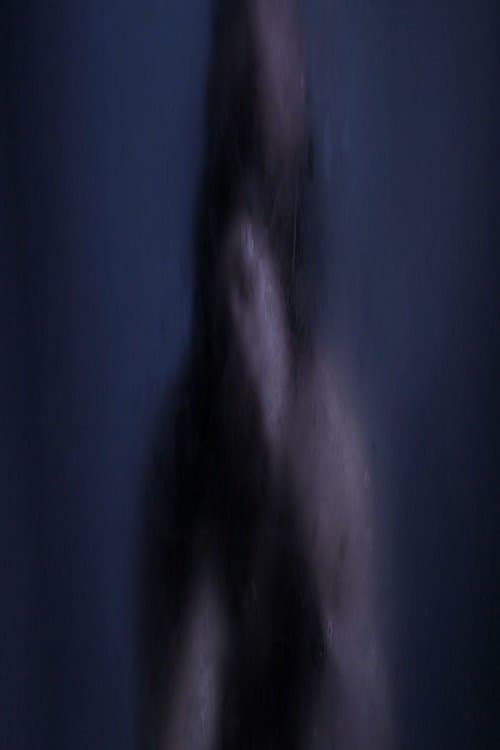 قبلة في الليل