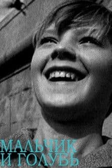 Мальчик и голубь