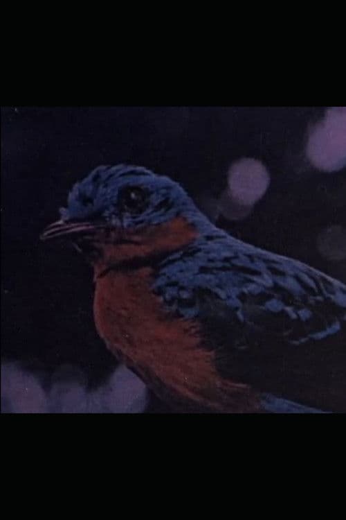 Retrato de Villa-Lobos