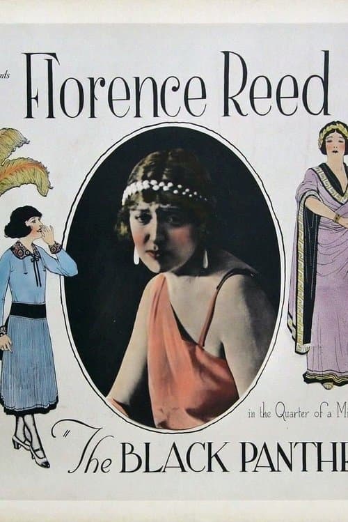 The Black Panther's Cub