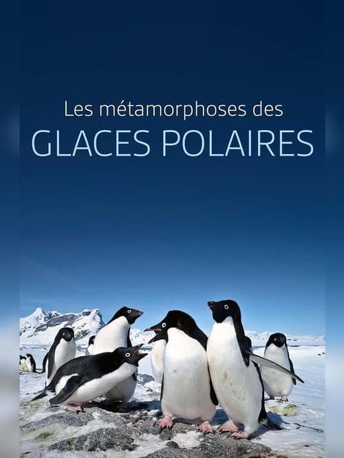 Les métamorphoses des glaces polaires : Un défi pour les écosystèmes