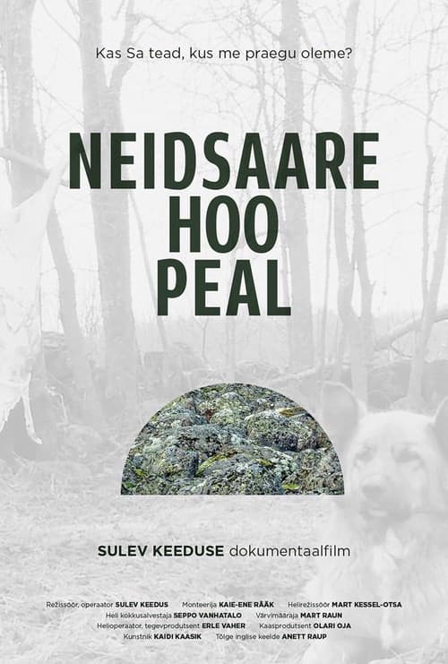 Neidsaare hoo peal