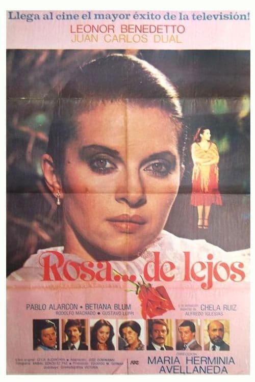 Rosa de lejos