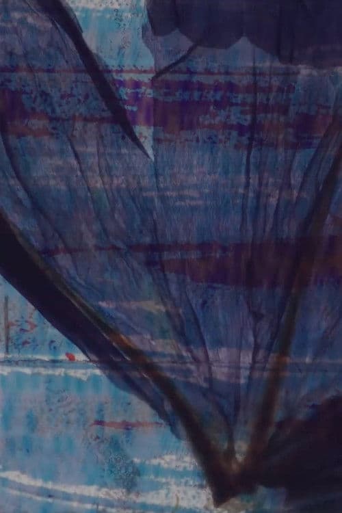 Colours & flowers for scratches