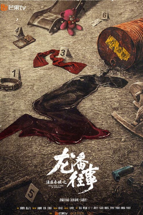 法医秦明之龙番往事