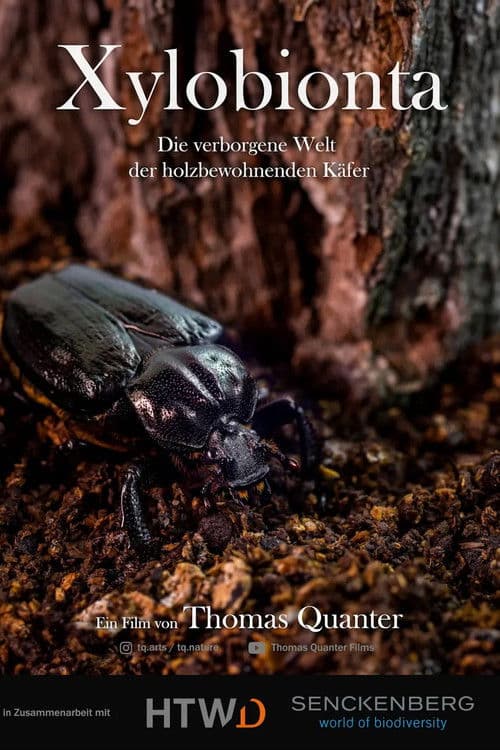 Xylobionta - die verborgene Welt der holzbewohnenden Käfer