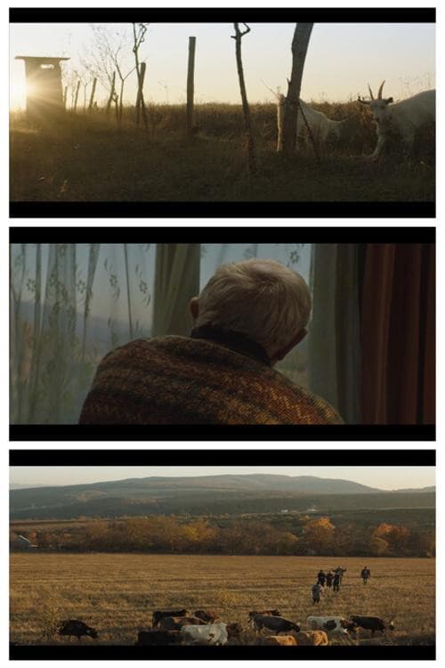 სახლი არ დატოვო!