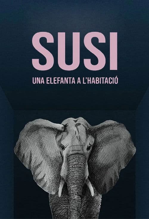 Susi, una elefanta a l'habitació