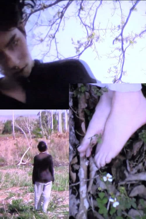 testifica mi vanidad