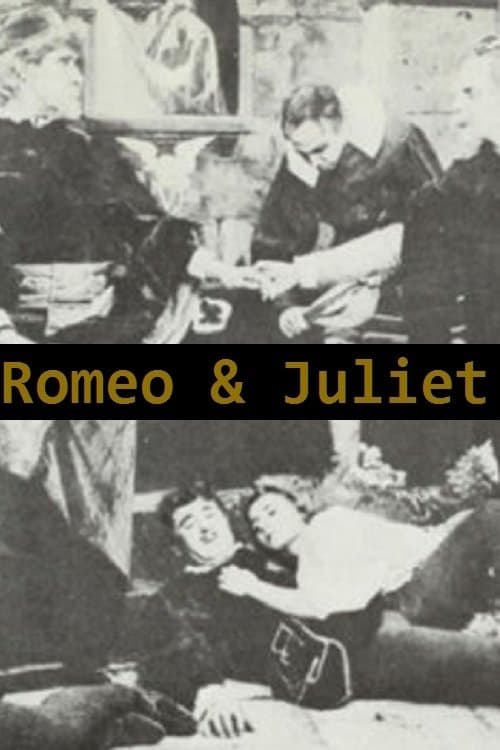Romeo and Juliet, A Romantic Story of the Ancient Feud Between the Italian Houses of Montague and Capulet