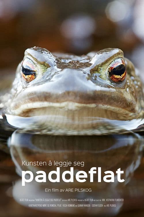 Kunsten å leggje seg paddeflat