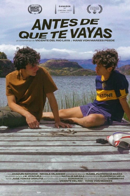 Antes de que te vayas