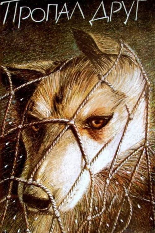 Пропал друг